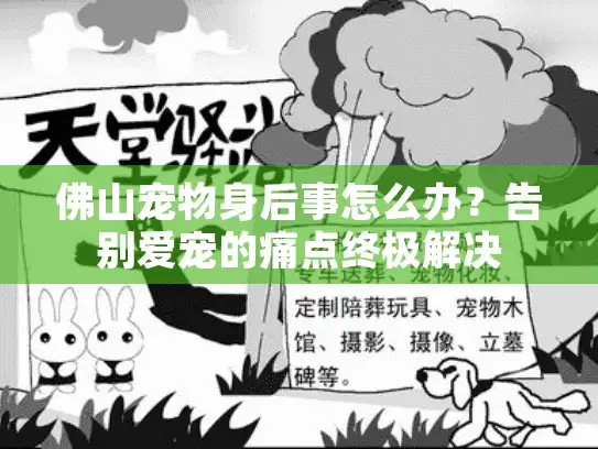 佛山宠物身后事怎么办？告别爱宠的痛点终极解决
