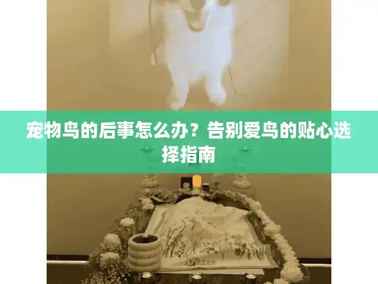 宠物鸟的后事怎么办？告别爱鸟的贴心选择指南