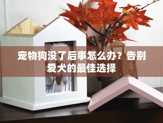 宠物狗没了后事怎么办？告别爱犬的最佳选择