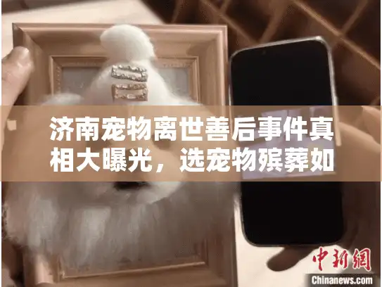 济南宠物离世善后事件真相大曝光，选宠物殡葬如何避开高价陷阱？