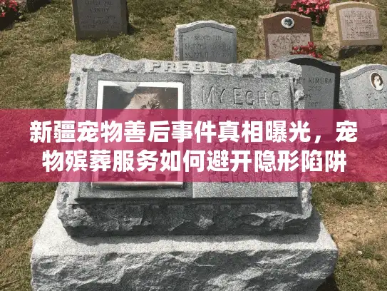 新疆宠物善后事件真相曝光，宠物殡葬服务如何避开隐形陷阱？