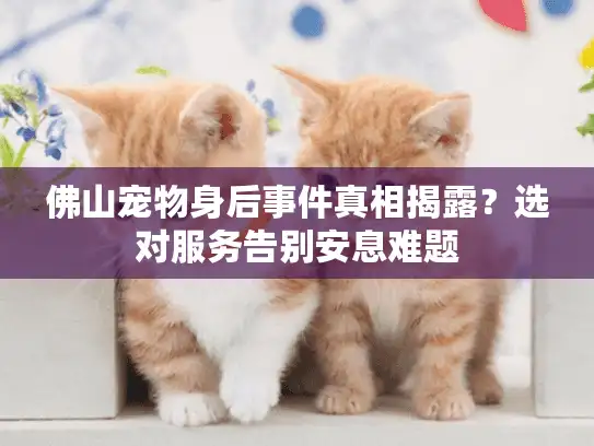 佛山宠物身后事件真相揭露？选对服务告别安息难题