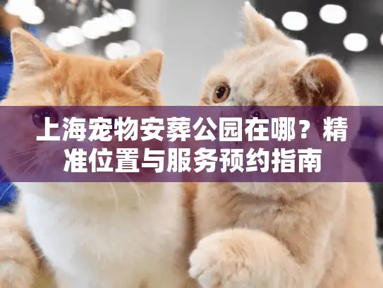 上海宠物安葬公园在哪？精准位置与服务预约指南