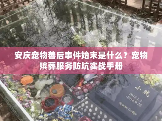 安庆宠物善后事件始末是什么？宠物殡葬服务防坑实战手册