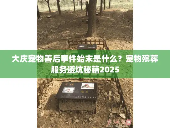 大庆宠物善后事件始末是什么？宠物殡葬服务避坑秘籍2025