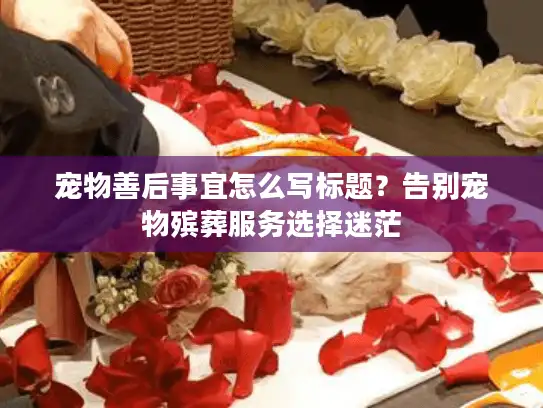 宠物善后事宜怎么写标题？告别宠物殡葬服务选择迷茫