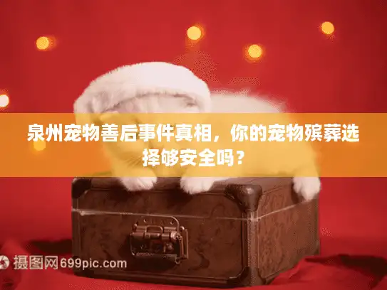 泉州宠物善后事件真相，你的宠物殡葬选择够安全吗？