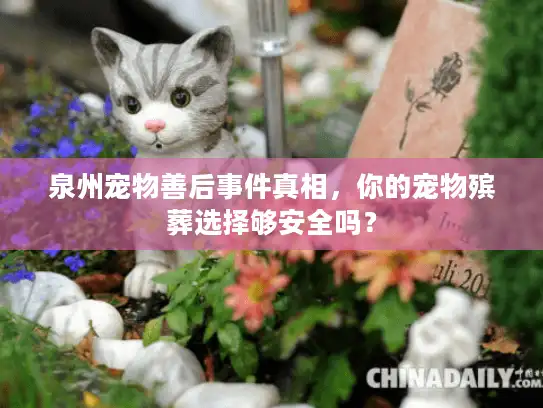 泉州宠物善后事件真相，你的宠物殡葬选择够安全吗？