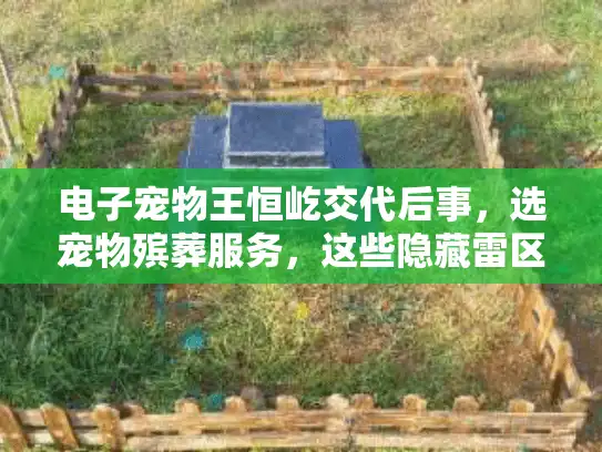 电子宠物王恒屹交代后事，选宠物殡葬服务，这些隐藏雷区你知道吗？