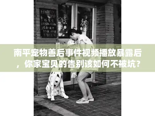 南平宠物善后事件视频播放暴露后，你家宝贝的告别该如何不被坑？