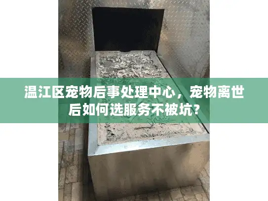 温江区宠物后事处理中心，宠物离世后如何选服务不被坑？