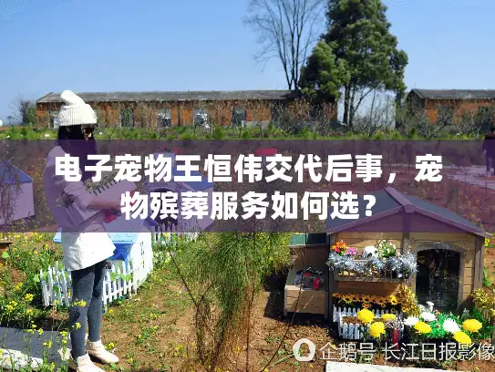 电子宠物王恒伟交代后事，宠物殡葬服务如何选？