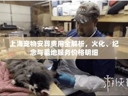 上海宠物安葬费用全解析，火化、纪念与墓地服务价格明细