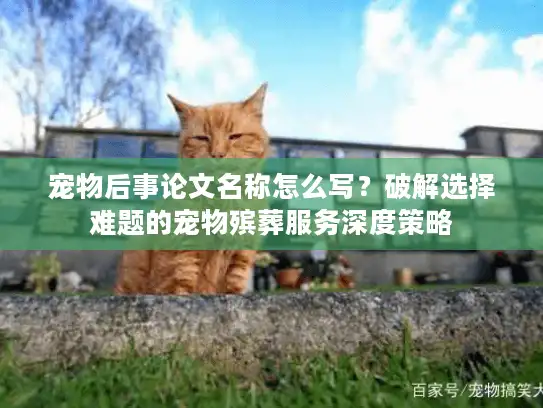 宠物后事论文名称怎么写？破解选择难题的宠物殡葬服务深度策略