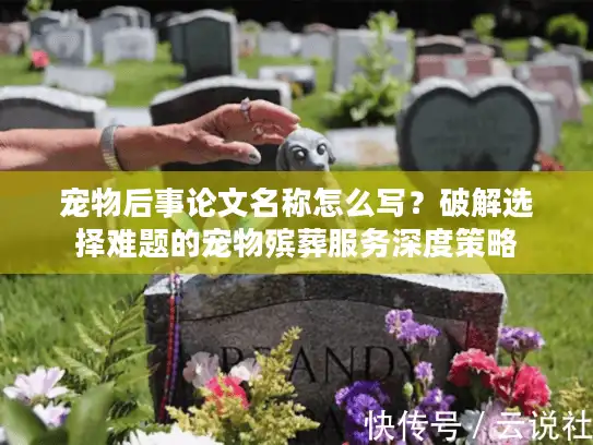 宠物后事论文名称怎么写？破解选择难题的宠物殡葬服务深度策略