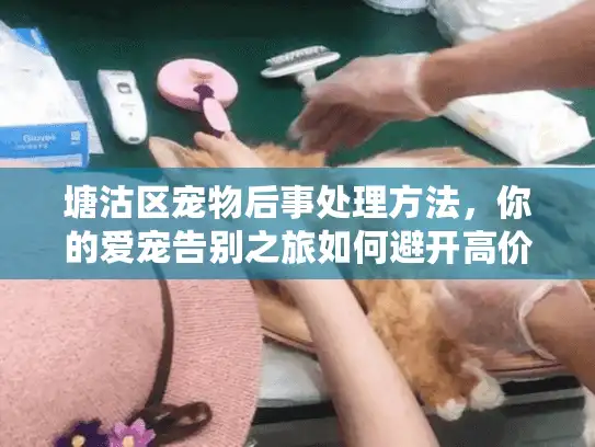 塘沽区宠物后事处理方法，你的爱宠告别之旅如何避开高价陷阱？