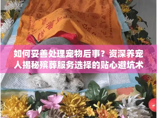 如何妥善处理宠物后事？资深养宠人揭秘殡葬服务选择的贴心避坑术