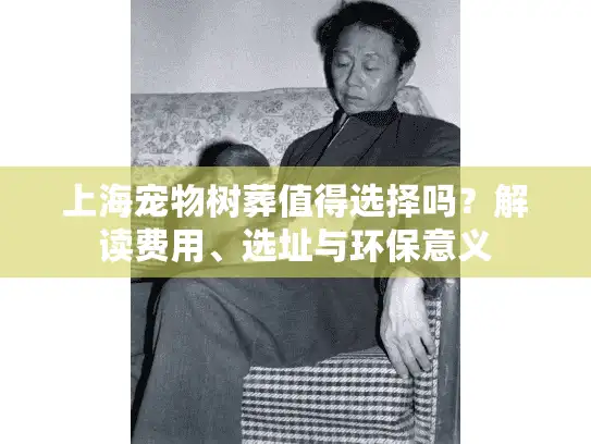 上海宠物树葬值得选择吗？解读费用、选址与环保意义