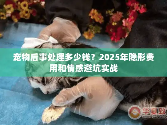 宠物后事处理多少钱？2025年隐形费用和情感避坑实战