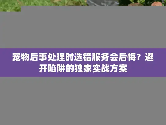 宠物后事处理时选错服务会后悔？避开陷阱的独家实战方案