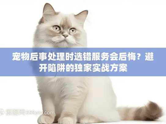 宠物后事处理时选错服务会后悔？避开陷阱的独家实战方案