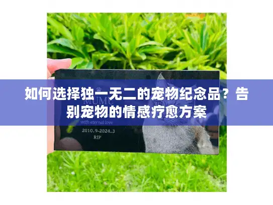 如何选择独一无二的宠物纪念品？告别宠物的情感疗愈方案