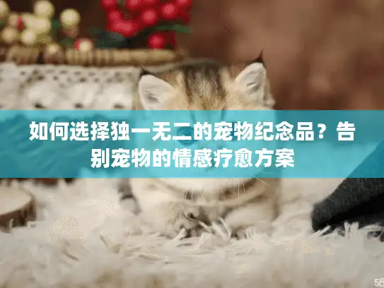 如何选择独一无二的宠物纪念品？告别宠物的情感疗愈方案