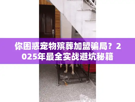 你困惑宠物殡葬加盟骗局？2025年最全实战避坑秘籍