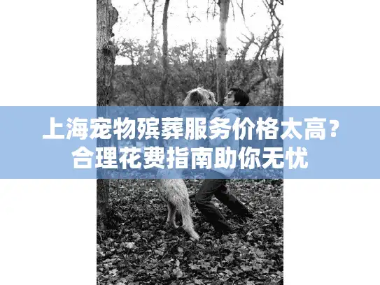 上海宠物殡葬服务价格太高？合理花费指南助你无忧