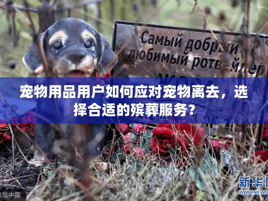 宠物用品用户如何应对宠物离去，选择合适的殡葬服务？