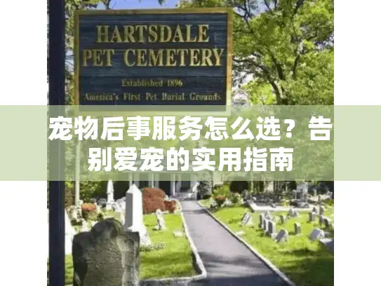 宠物后事服务怎么选？告别爱宠的实用指南