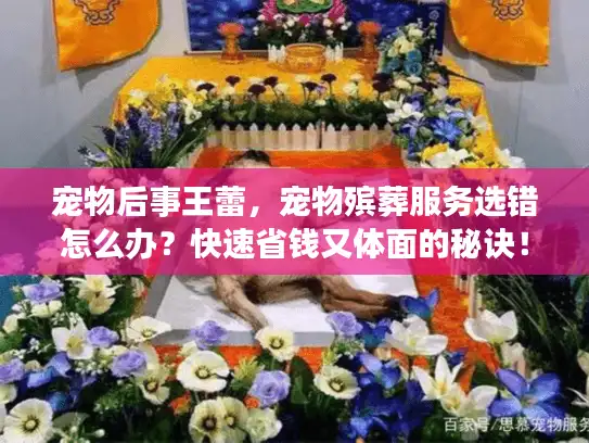 宠物后事王蕾，宠物殡葬服务选错怎么办？快速省钱又体面的秘诀！