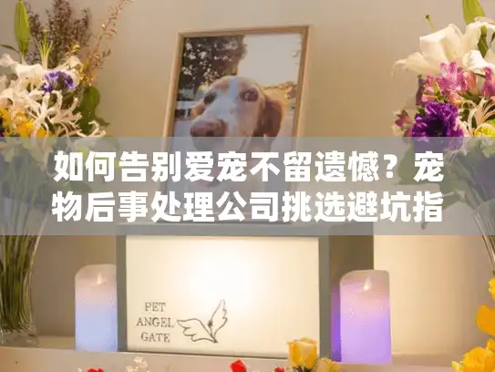 如何告别爱宠不留遗憾？宠物后事处理公司挑选避坑指南