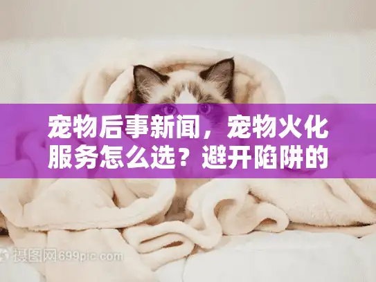 宠物后事新闻，宠物火化服务怎么选？避开陷阱的终极指南