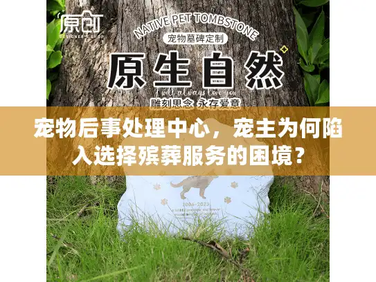 宠物后事处理中心，宠主为何陷入选择殡葬服务的困境？