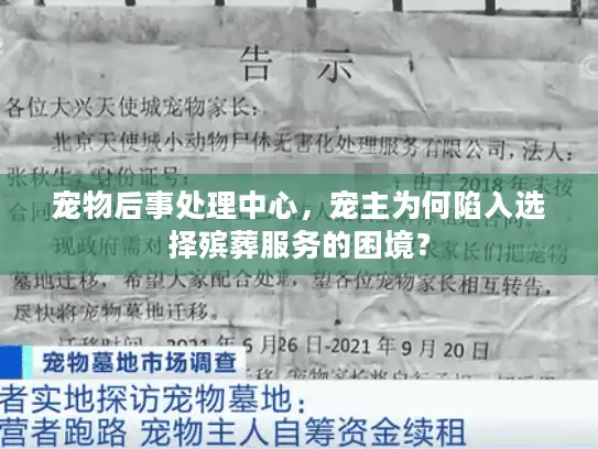 宠物后事处理中心，宠主为何陷入选择殡葬服务的困境？