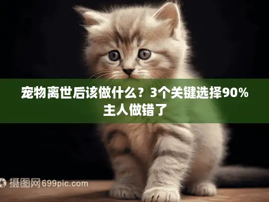 宠物离世后该做什么？3个关键选择90%主人做错了