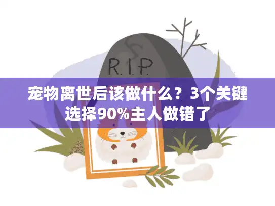 宠物离世后该做什么？3个关键选择90%主人做错了
