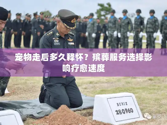 宠物走后多久释怀？殡葬服务选择影响疗愈速度