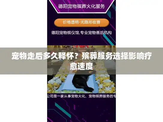 宠物走后多久释怀？殡葬服务选择影响疗愈速度