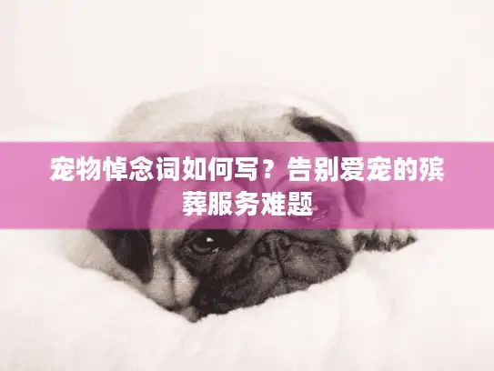 宠物悼念词如何写？告别爱宠的殡葬服务难题