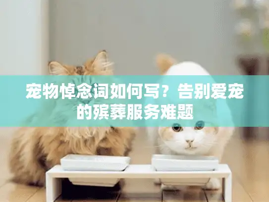 宠物悼念词如何写？告别爱宠的殡葬服务难题