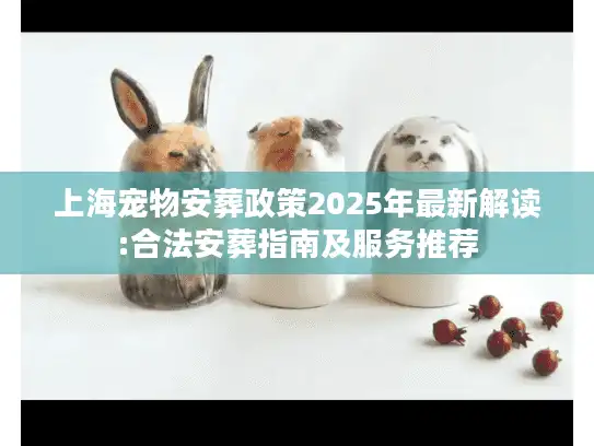 上海宠物安葬政策2025年最新解读:合法安葬指南及服务推荐