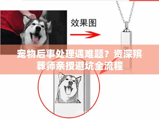 宠物后事处理遇难题？资深殡葬师亲授避坑全流程