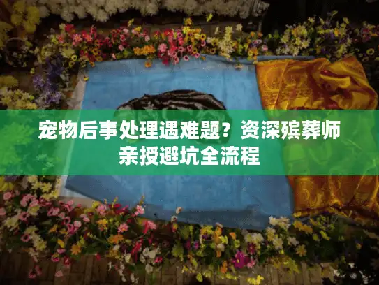 宠物后事处理遇难题？资深殡葬师亲授避坑全流程