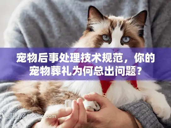 宠物后事处理技术规范，你的宠物葬礼为何总出问题？