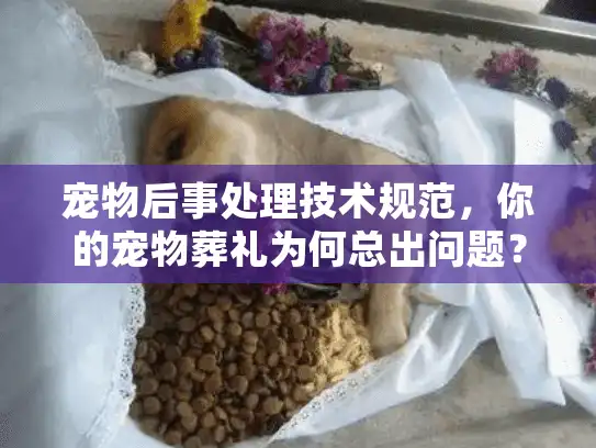 宠物后事处理技术规范，你的宠物葬礼为何总出问题？