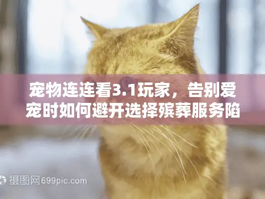 宠物连连看3.1玩家，告别爱宠时如何避开选择殡葬服务陷阱？