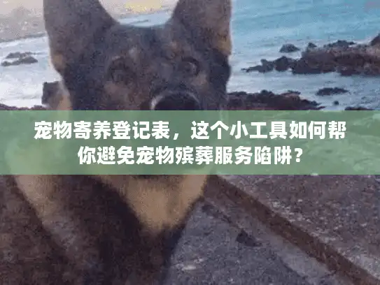宠物寄养登记表，这个小工具如何帮你避免宠物殡葬服务陷阱？