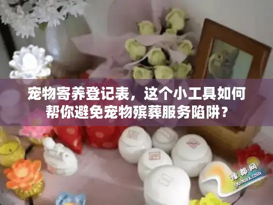 宠物寄养登记表，这个小工具如何帮你避免宠物殡葬服务陷阱？